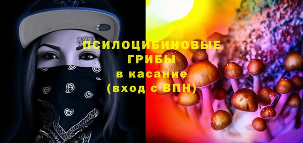 Альфа ПВП Осинники