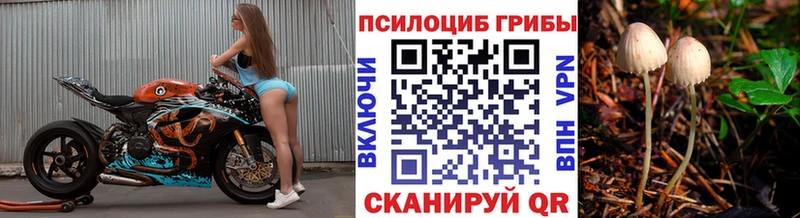 Галлюциногенные грибы Magic Shrooms гидра tor Льгов